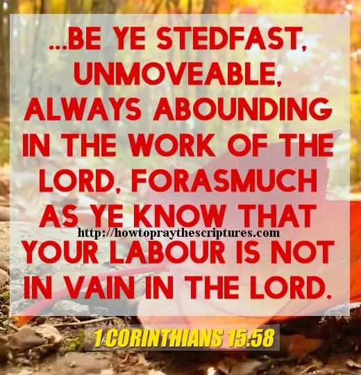 Be Ye Stedfast Unmoveable Always 1 Corinthians 15-58