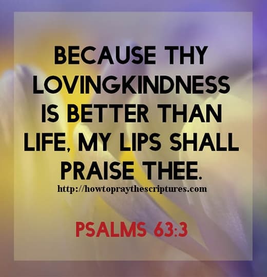 Because Thy Lovingkindness Is Better Psalms 63-3
