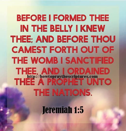 Before I Formed Thee In The Belly I Knew Thee Jeremiah 1-5