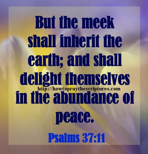But The Meek Shall Inherit The Earth Psalms 37-11