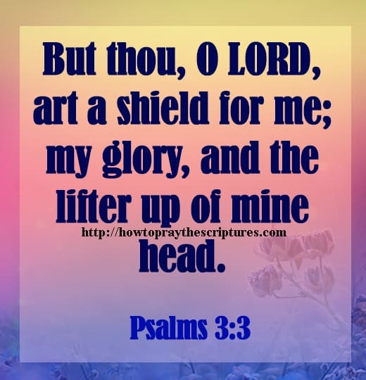 But Thou O LORD Art A Shield For Me Psalms 3-3