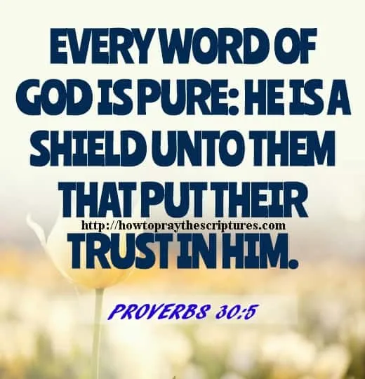 Every Word Of God Is Pure Proverbs 30-5