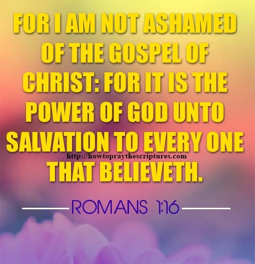 For I Am Not Ashamed Of The Gospel Romans 1-16