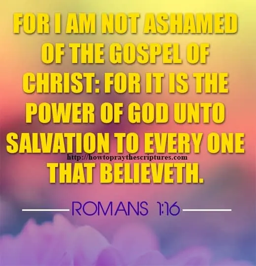 For I Am Not Ashamed Of The Gospel Romans 1-16
