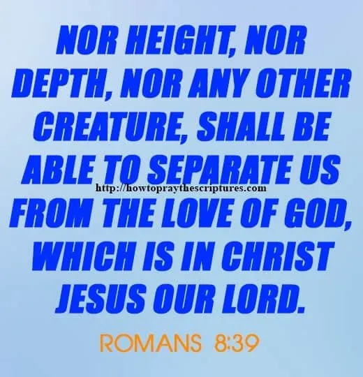 Nor Height Nor Depth Nor Any Other Creature Romans 8-39