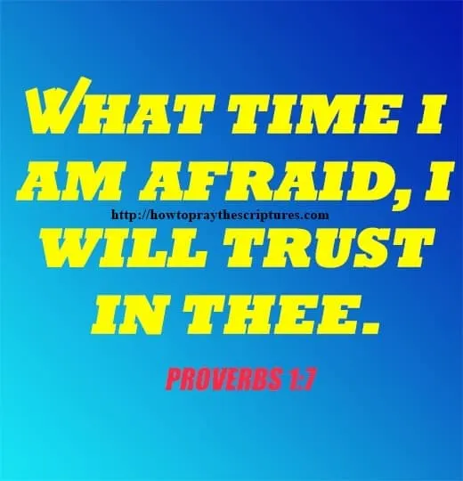 What Time I Am Afraid I Will Trust In Thee Psalms 56-3