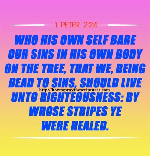 Who His Own Self Bare Our Sins 1 Peter 2-24