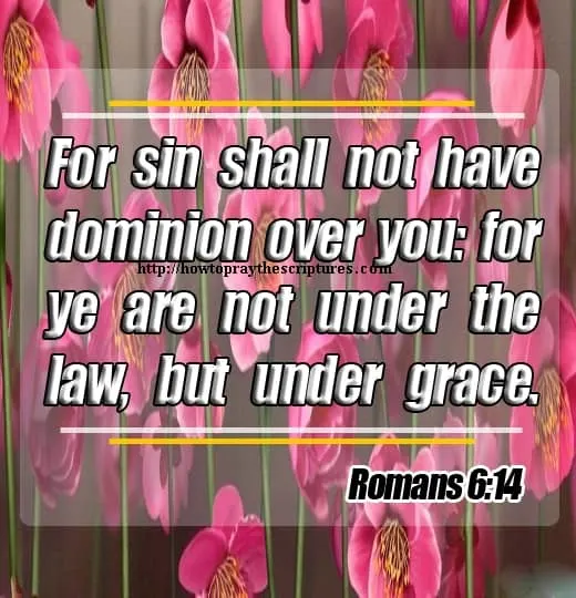 For Sin Shall Not Have Dominion Over You Romans 6-14