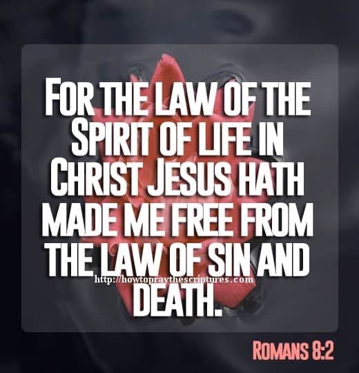 For The Law Of The Spirit Of Life In Christ Jesus Romans 8-2