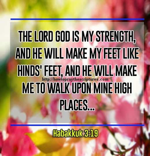 The LORD God Is My Strength Habakkuk 3-19