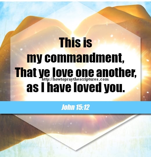 This Is My Commandment That Ye Love One Another