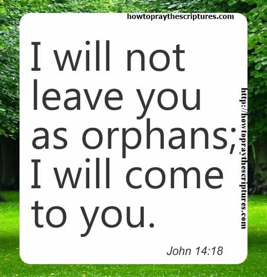 I Will Not Leave You As Orphans John 14-18