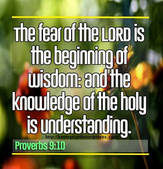 The Fear Of The LORD Is The Beginning Of Wisdom Proverbs 9-10