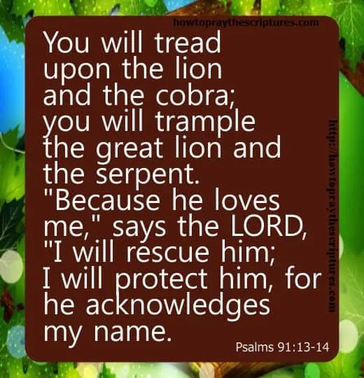 Scripture On Prayers: Promises of God