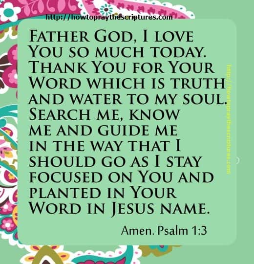 Prayer To Tell God How Much You Love Him