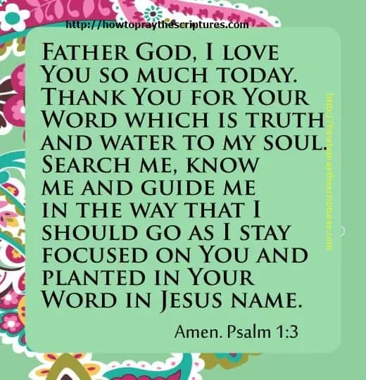 Prayer To Tell God How Much You Love Him
