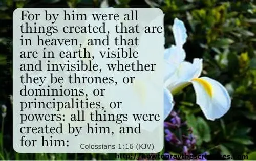 Jesus The Creator Of All Things