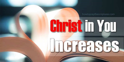 Christ in You Increases