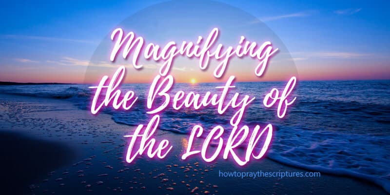 Magnifying the Beauty of the LORD