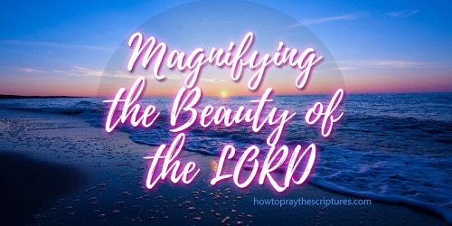 Magnifying the Beauty of the LORD_