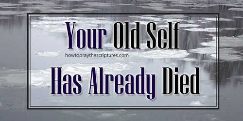 Your Old Self Has Already Died