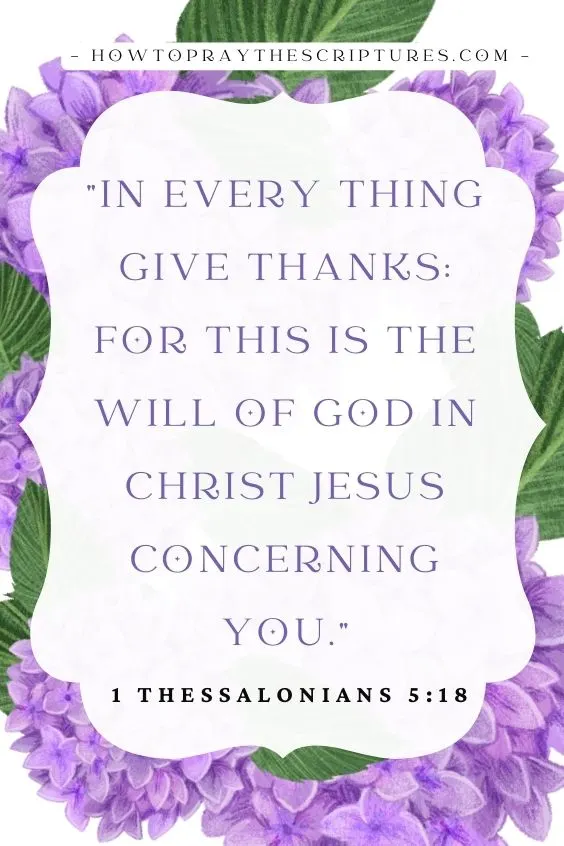 Father in heaven, I pray that gratitude will rule in my heart instead of grumbling and complaining.