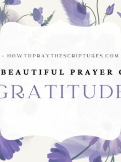 Father in heaven, I pray that gratitude will rule in my heart instead of grumbling and complaining.