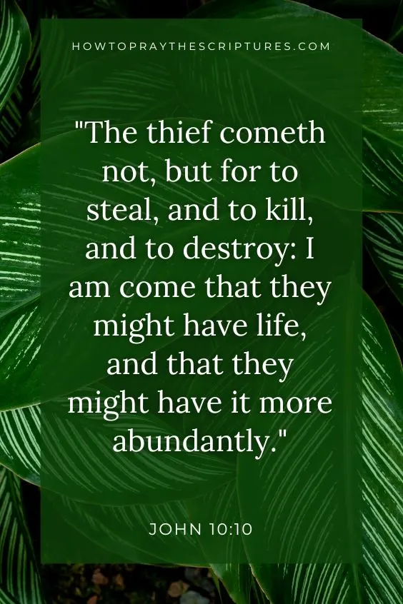 Thank You, Father, for Your Word brings me healing.