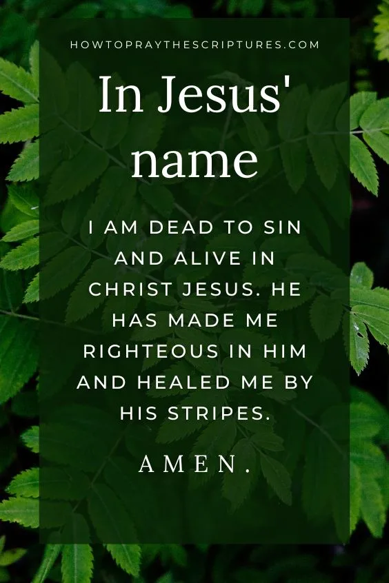 Thank You, Father, for Your Word brings me healing.
