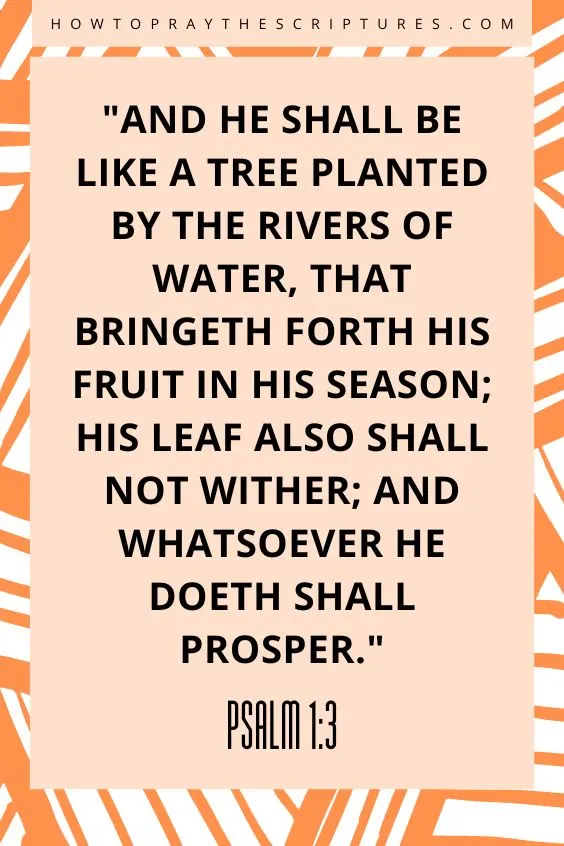 Heavenly Father, I thank You for the life of David.