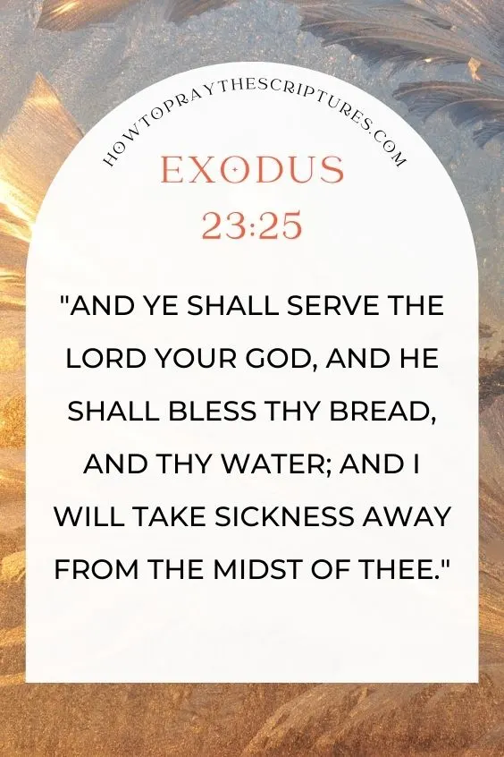 And ye shall serve the Lord your God, and he shall bless thy bread, and thy water; and I will take sickness away from the midst of thee.