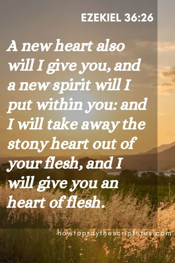 Father in heaven, You are the God who gives grace. Remind [name of the person] to never neglect their prayer time with You and that they would never let the business of life hinder them from spending time with You.