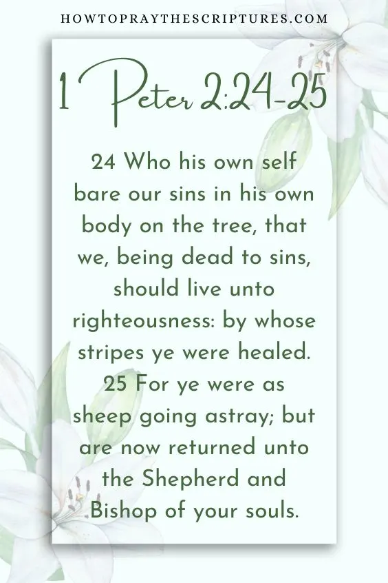 Father in heaven, thank You for being merciful and gracious and sending Your own Son Jesus to pay for the penalty of our sins on the cross.