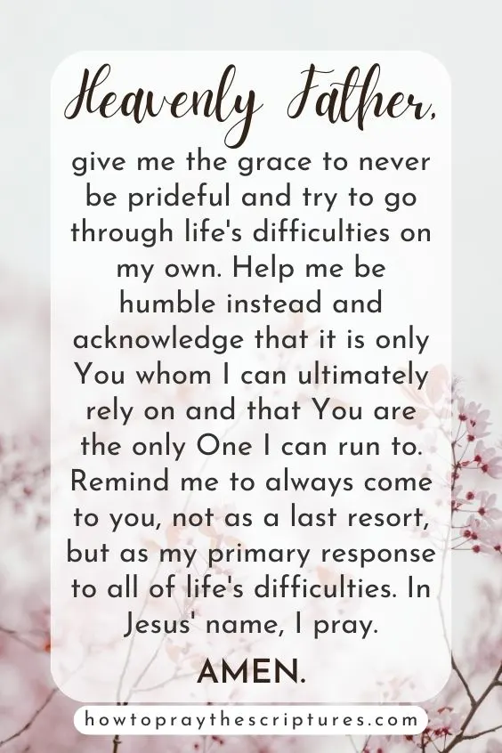 Heavenly Father, give me the grace to never be prideful and try to go through life's difficulties on my own.