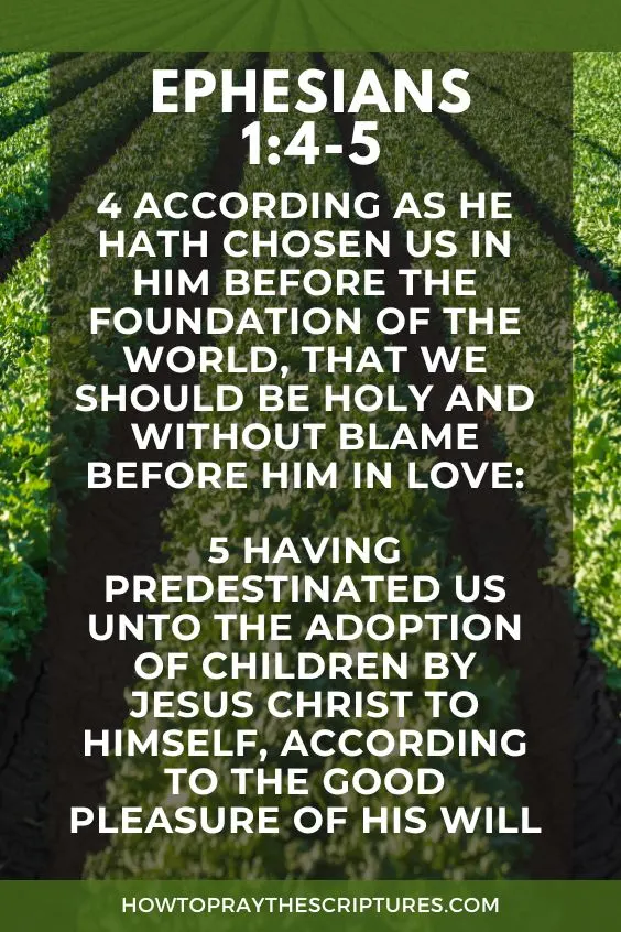 Heavenly Father, I thank You because my identity and security are not dependent on what the world says about my job as a farmer, but is instead found in Christ.
