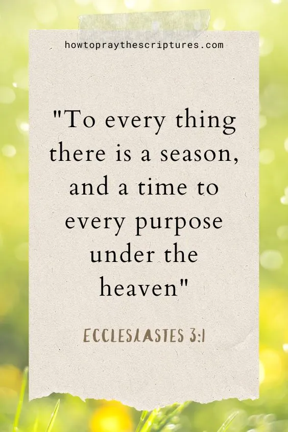 To every thing there is a season, and a time to every purpose under the heaven:
