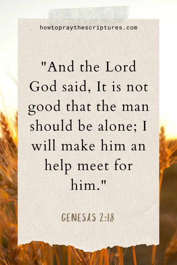 And the Lord God said, It is not good that the man should be alone; I will make him an help meet for him.
