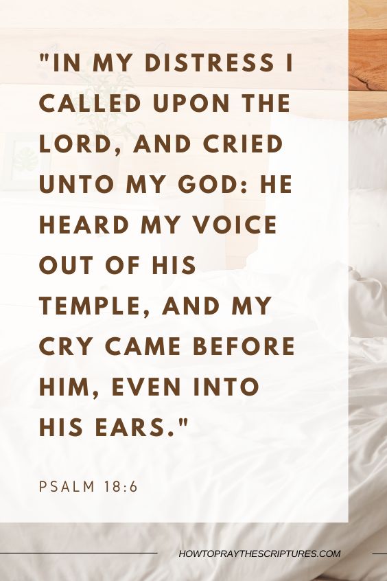 In my distress I called upon the Lord, and cried unto my God: he heard my voice out of his temple, and my cry came before him, even into his ears.