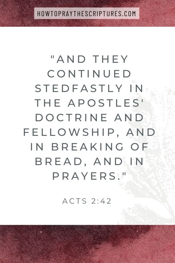 And they continued stedfastly in the apostles' doctrine and fellowship, and in breaking of bread, and in prayers.