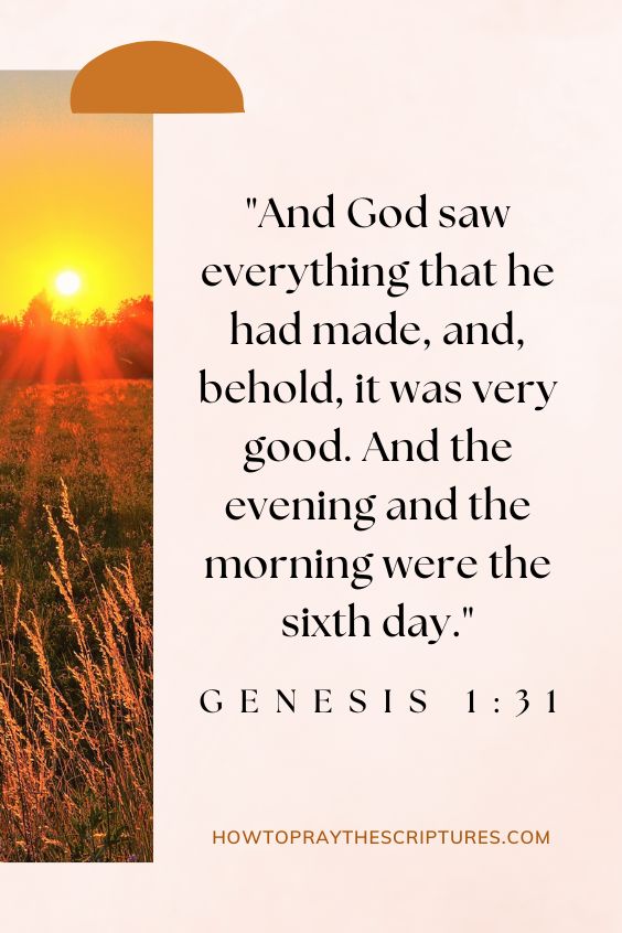 And God saw everything that he had made, and, behold, it was very good. And the evening and the morning were the sixth day.