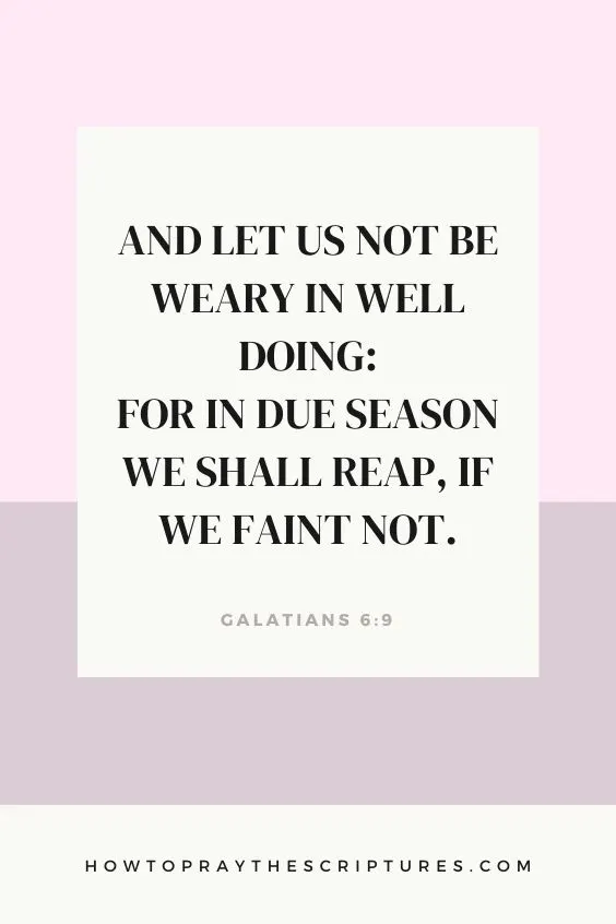 Galatians 6:9And let us not be weary in well doing: for in due season we shall reap, if we faint not. 
