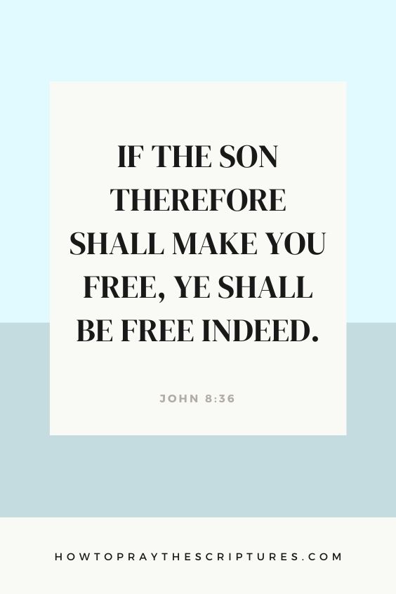 John 8:36If the Son therefore shall make you free, ye shall be free indeed. 