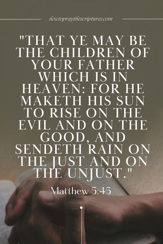 Matthew 5:45That ye may be the children of your Father which is in heaven: for he maketh his sun to rise on the evil and on the good, and sendeth rain on the just and on the unjust.