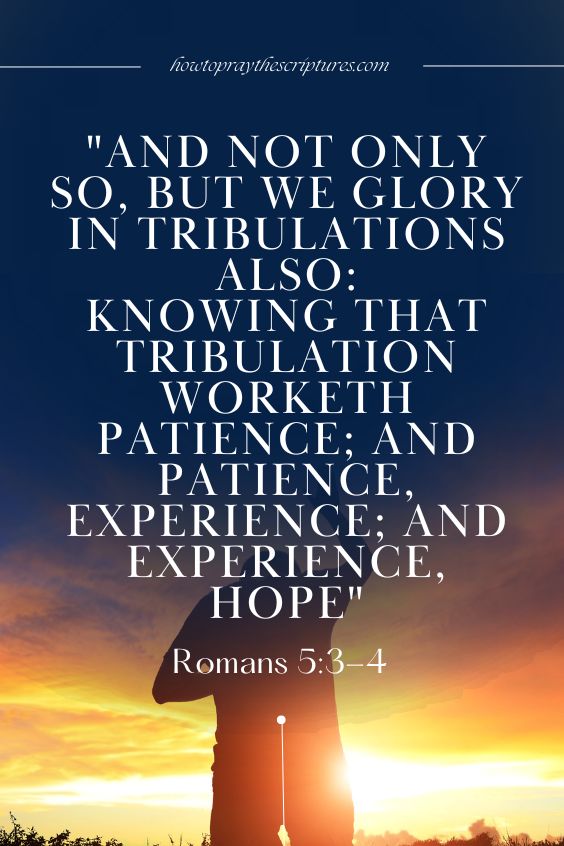 Romans 5:3-43 And not only so, but we glory in tribulations also: knowing that tribulation worketh patience; 4 And patience, experience; and experience, hope: