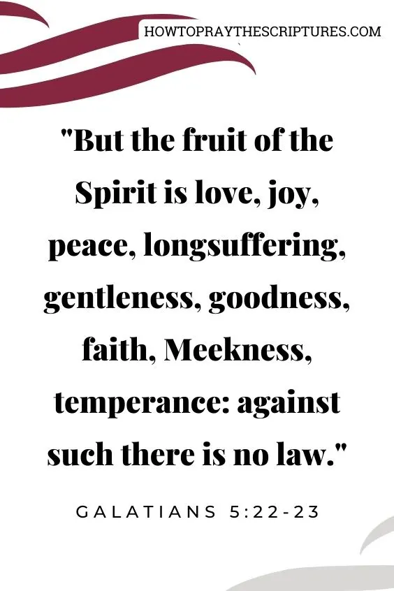 Galatians 5:22-2322 But the fruit of the Spirit is love, joy, peace, longsuffering, gentleness, goodness, faith,
23 Meekness, temperance: against such there is no law.