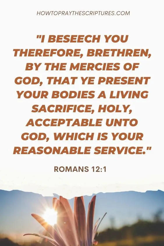 I beseech you therefore, brethren, by the mercies of God, that ye present your bodies a living sacrifice, holy, acceptable unto God, which is your reasonable service.