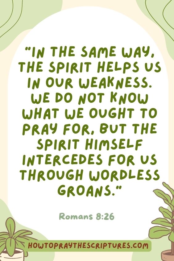In the same way, the Spirit helps us in our weakness. We do not know what we ought to pray for, but the Spirit himself intercedes for us through wordless groans