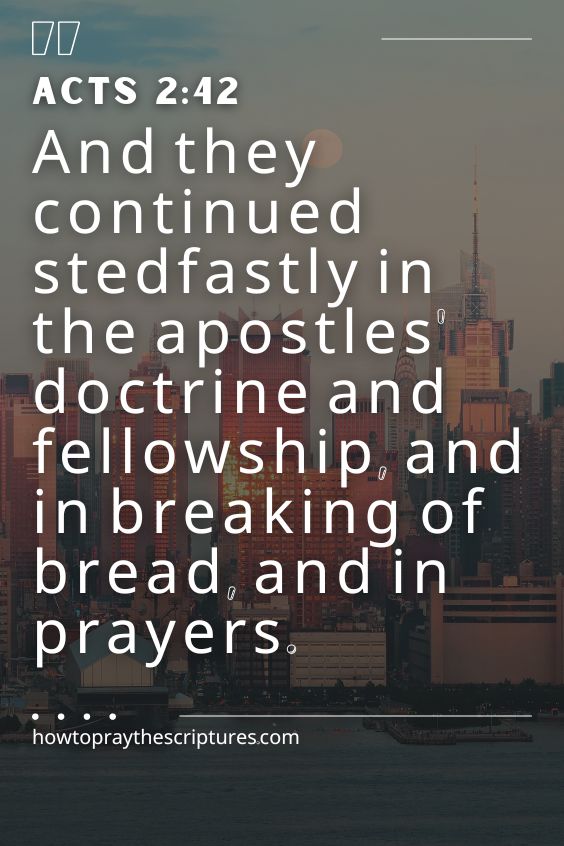 And they continued stedfastly in the apostles' doctrine and fellowship, and in breaking of bread, and in prayers.