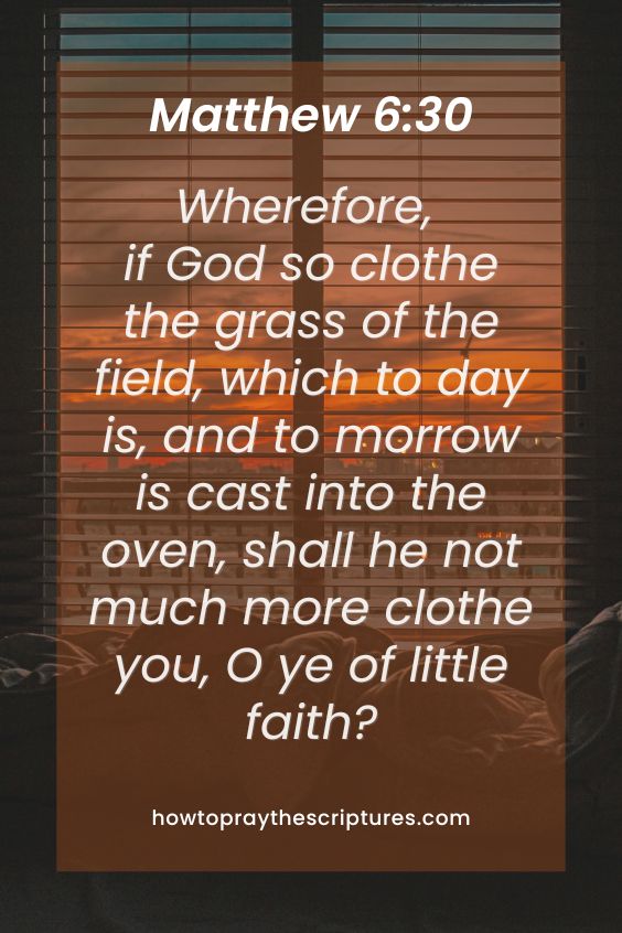 Wherefore, if God so clothe the grass of the field, which to day is, and to morrow is cast into the oven, shall he not much more clothe you, O ye of little faith?
