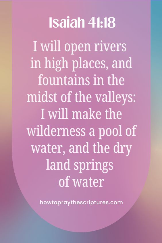 I will open rivers in high places, and fountains in the midst of the valleys: I will make the wilderness a pool of water, and the dry land springs of water